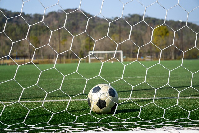 和太阳输掉 和太阳输掉