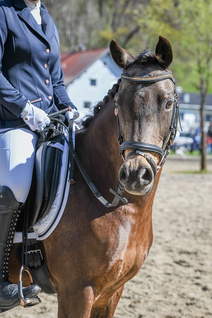 可库里与巴 可库里与巴