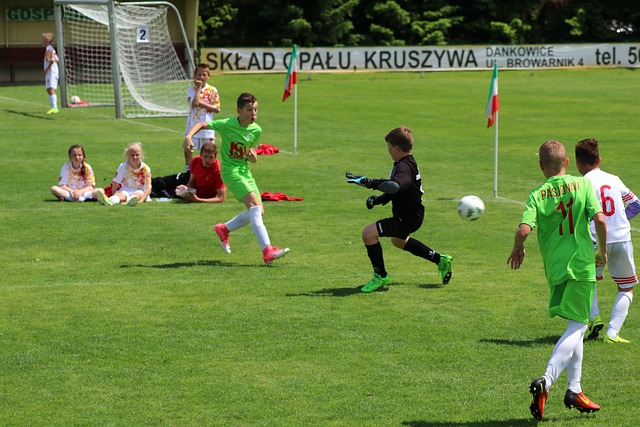 可以从以下 可以从以下