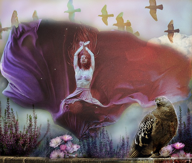 提供激活 提供激活