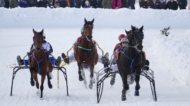 基於他近期 基於他近期