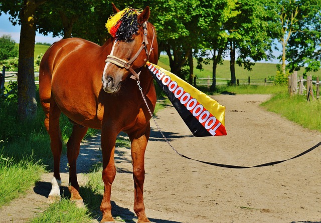 大的社会责 大的社会责