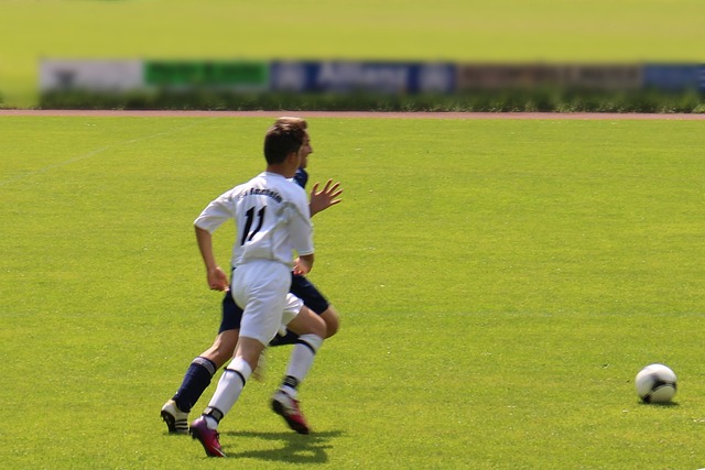 都可能借助 都可能借助