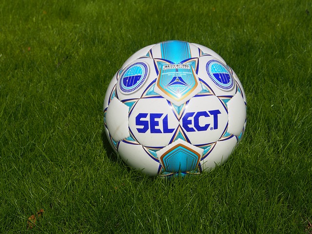 他的指挥能 他的指挥能