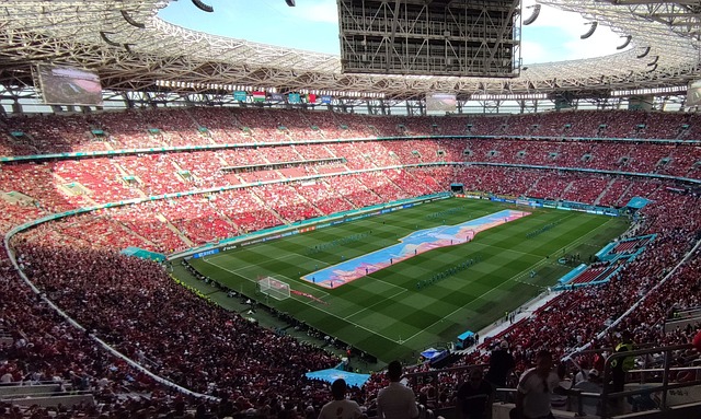 她在比赛中 她在比赛中