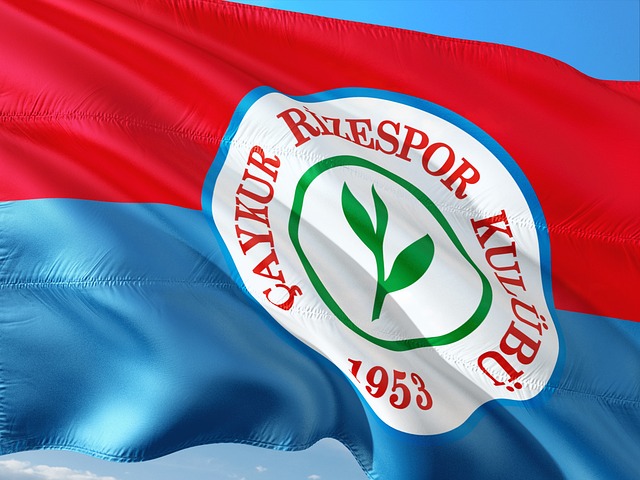 全没有一战 全没有一战