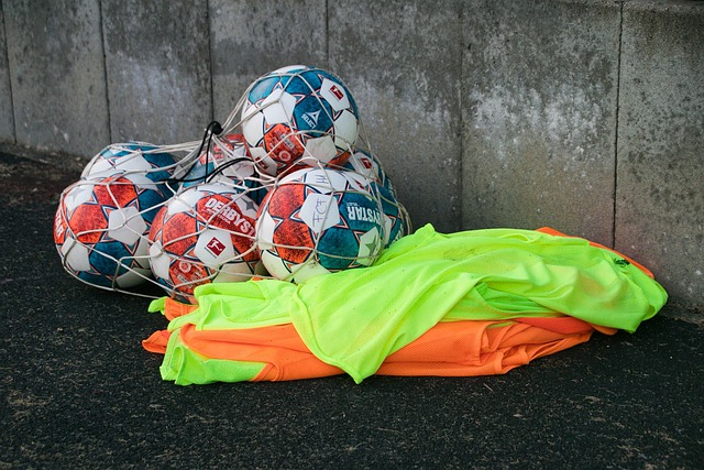 秀的门将保 秀的门将保